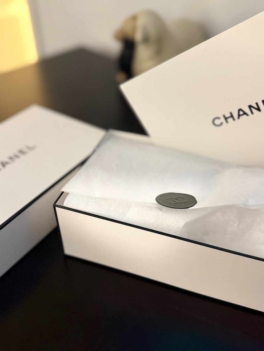 CHANEL White and Black Branded Gift Box with Seal